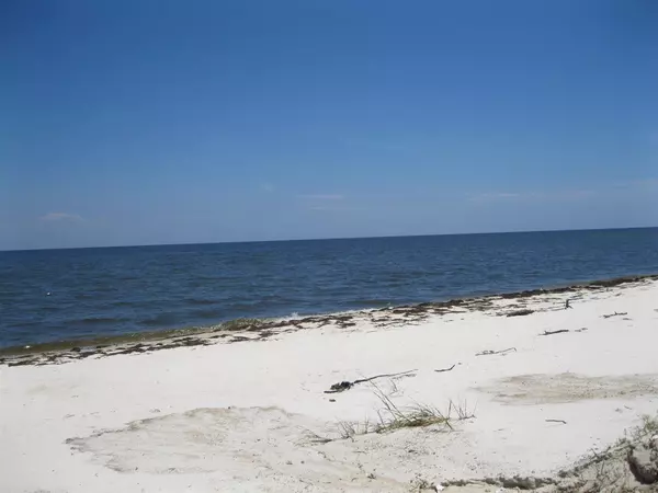 Alligator Point, FL 32346,13 Sailfish Street #-