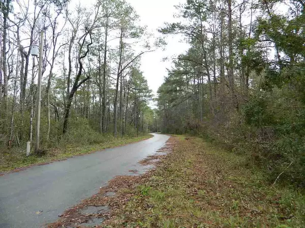 Sopchoppy, FL 32358,Lot 63-A CHEROKEE Drive #-