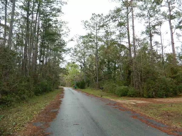 Sopchoppy, FL 32358,Lot 63-A CHEROKEE Drive #-