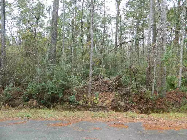 Sopchoppy, FL 32358,Lot 63-A CHEROKEE Drive #-