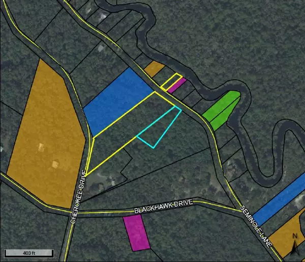 Sopchoppy, FL 32358,Lot Seminole Lane #-