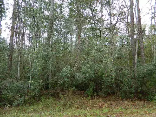 Sopchoppy, FL 32358,Lot Seminole Lane #-