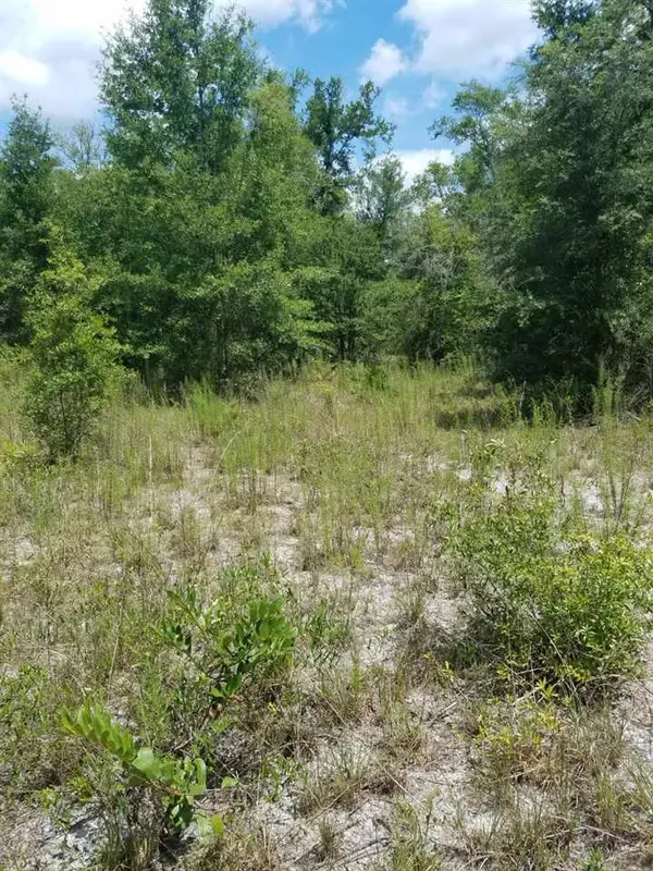 Lake City, FL 32024,TBD SW CR 240 #Lot 9, The Crossroads