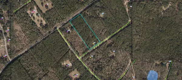 Madison County, FL 32340-9999,181 NE Adams Court