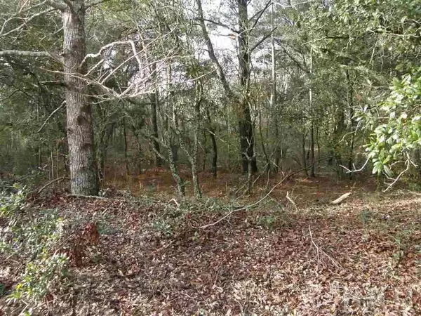 Corolla, NC 27927,1704 Hilltop Road #Lot 177