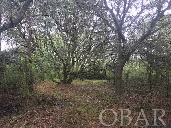 Corolla, NC 27927,2005 Ocean Pearl Road #Lot 29