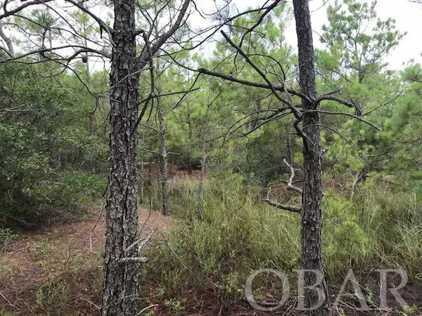 Corolla, NC 27927,515 Canary Lane #Lot 31