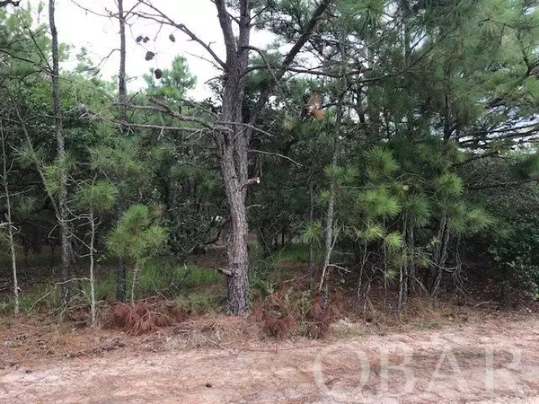 Corolla, NC 27927,517 Canary Lane #Lot 32