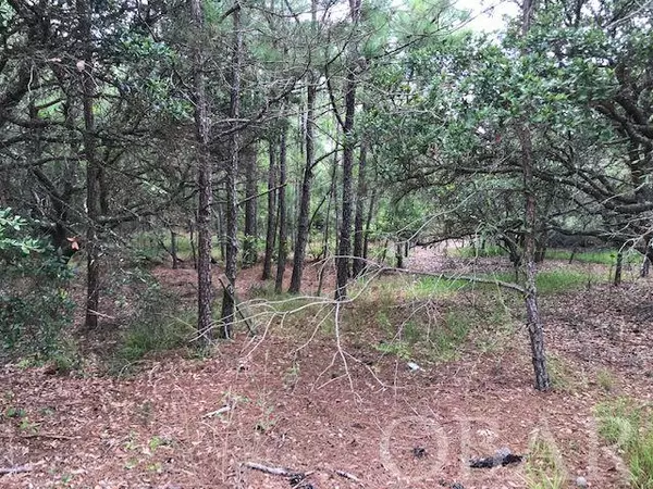 Corolla, NC 27927,517 Canary Lane #Lot 32