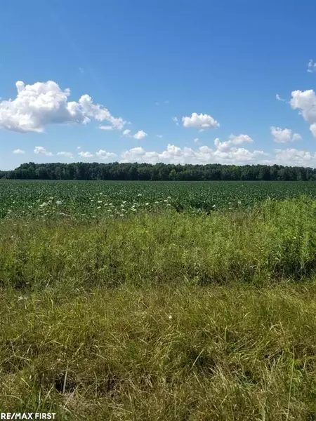 LOT 1 34 Mile Rd, Richmond, MI 48062