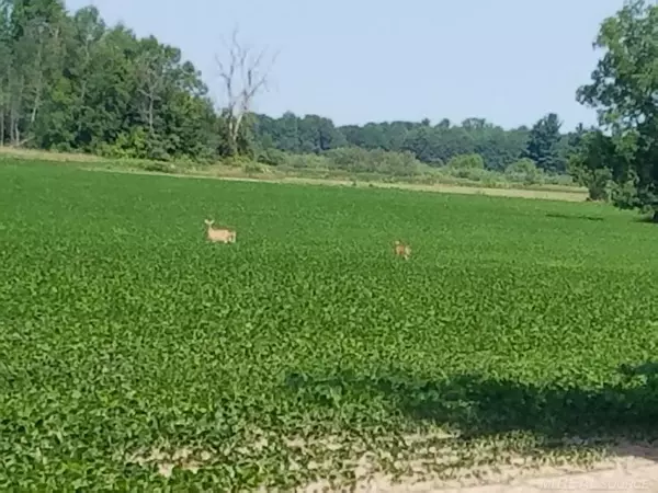 Armada, MI 48005,Vacant Bordman