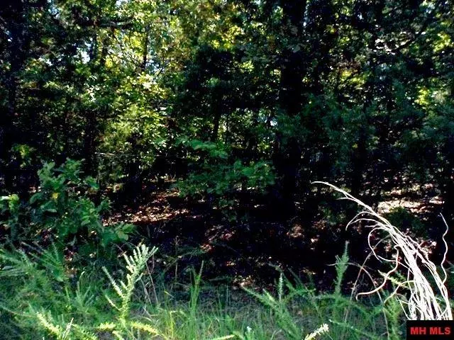 Bull Shoals, AR 72619,Lot 34 CEDAR LANE