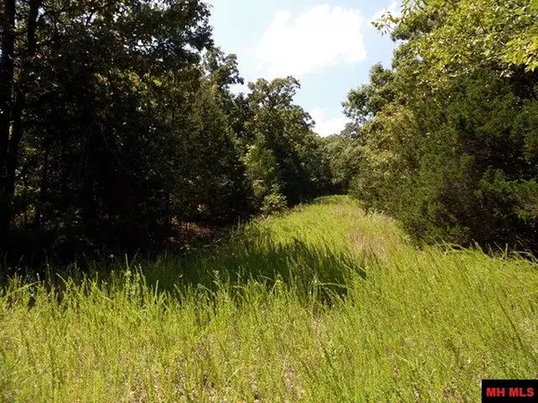 Bull Shoals, AR 72619,Lot 34 CEDAR LANE