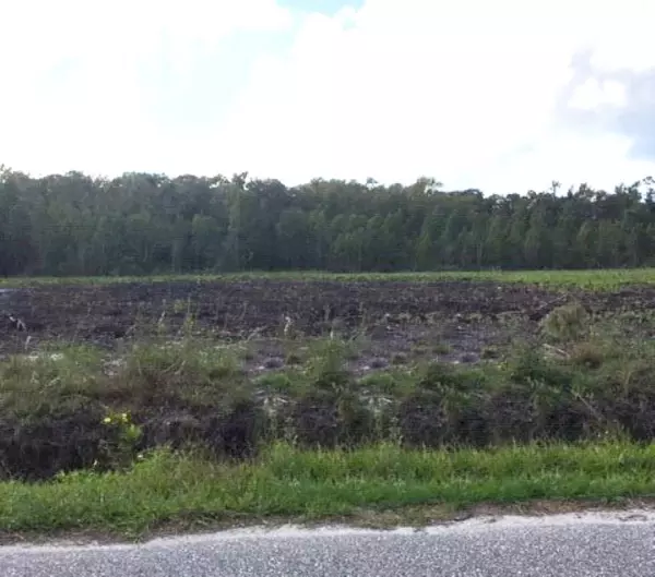 Elkton, FL 32033-0000,lot 8 Woodward Rd