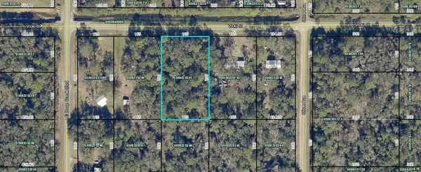 Hastings, FL 32145,4725 Vicki Street