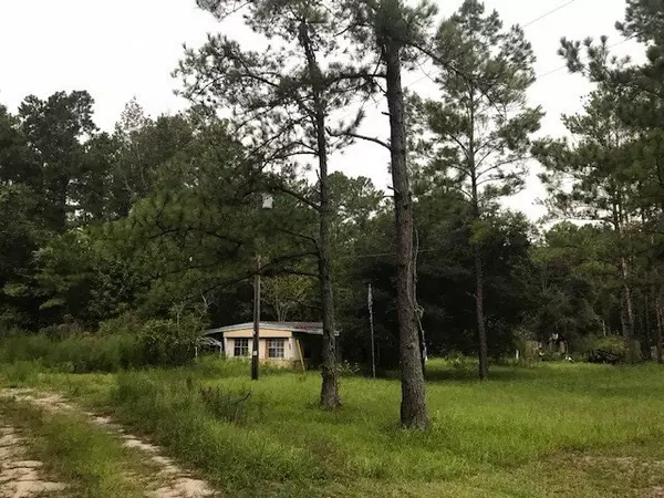 Satsuma, FL 32189,111 walker ct