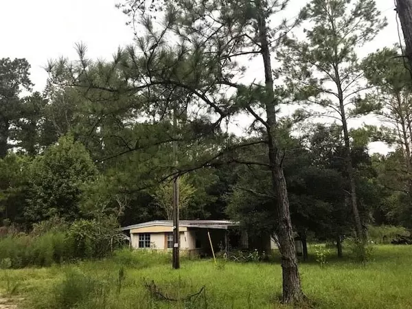 Satsuma, FL 32189,111 walker ct