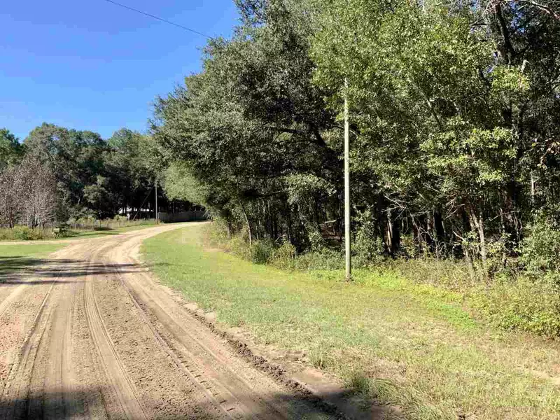 Vacant NE Nixon Way, Madison County, FL 32340