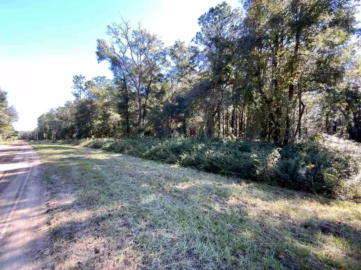 Madison County, FL 32340,Vacant NE Nixon Way