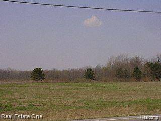 Vacant Hannan (Parcel D2), Huron Twp, MI 48164