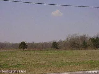 Huron Twp, MI 48164,Vacant Hannan (Parcel D2)