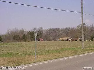 Huron Twp, MI 48164,Vacant Hannan (Parcel D2)