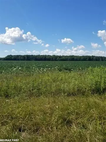 LOT 1 34 MILE RD, Richmond Twp, MI 48062