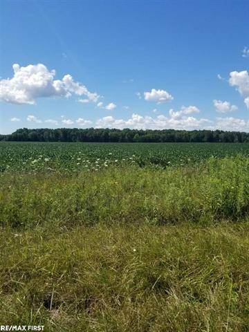 LOT 4 34 MILE RD, Richmond Twp, MI 48062