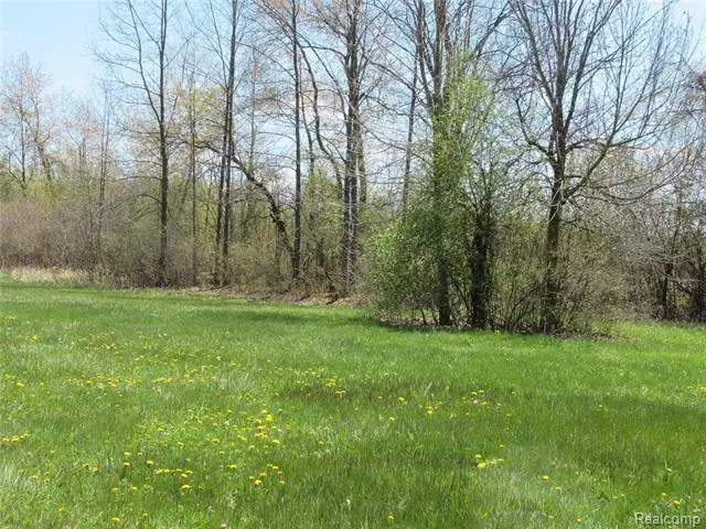 Davison Twp, MI 48423,LOT 9 FOX RUN DR