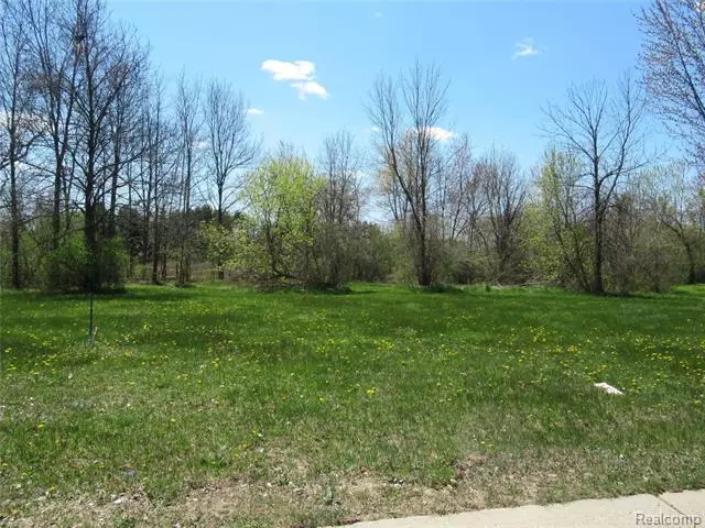 Davison Twp, MI 48423,LOT 10 FOX RUN DR