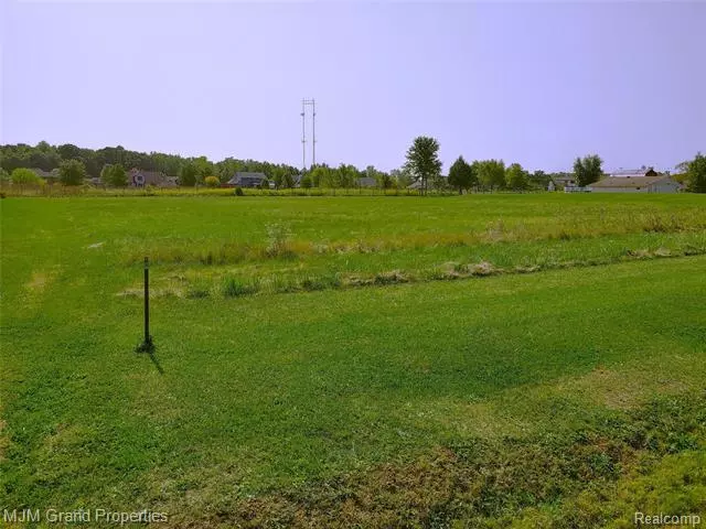 Huron Twp, MI 48164,Vacant FELT RD