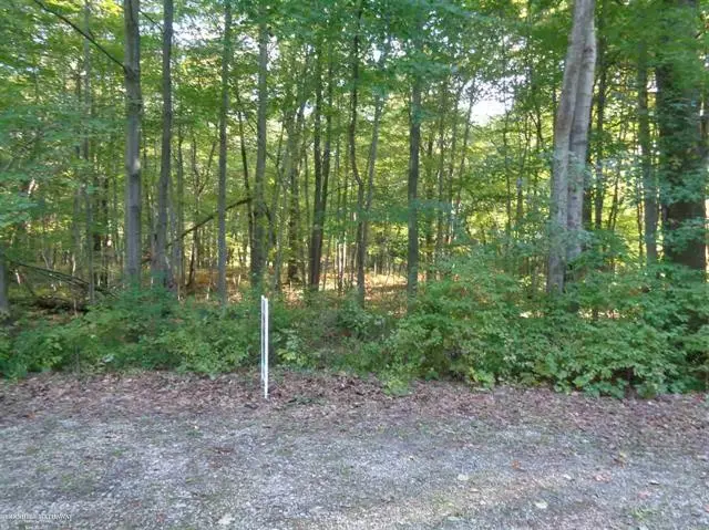 Lake Twp, MI 48725,LOT 32 MARY ANNE LANE