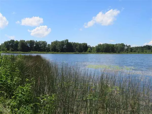 Lapeer Twp, MI 48446,0000 BRIAR HILL