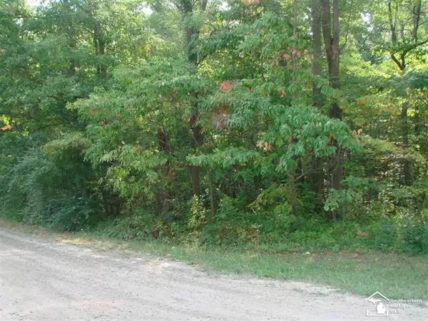 Ida Twp, MI 49270,00 WELLS RD - PARCEL 1