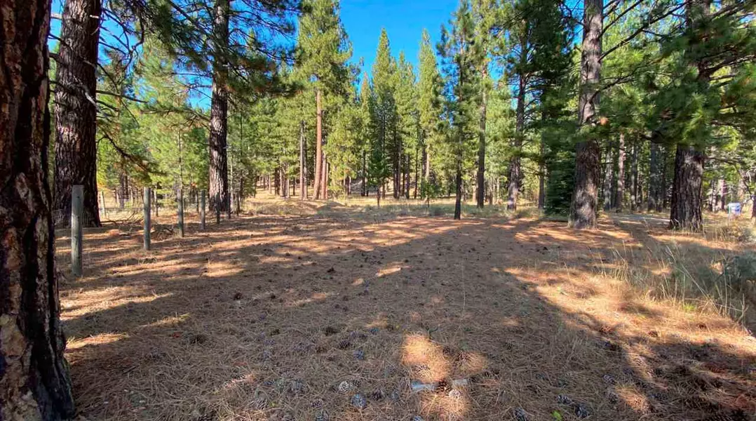 361 Clio State 40A Road, Clio, CA 96106