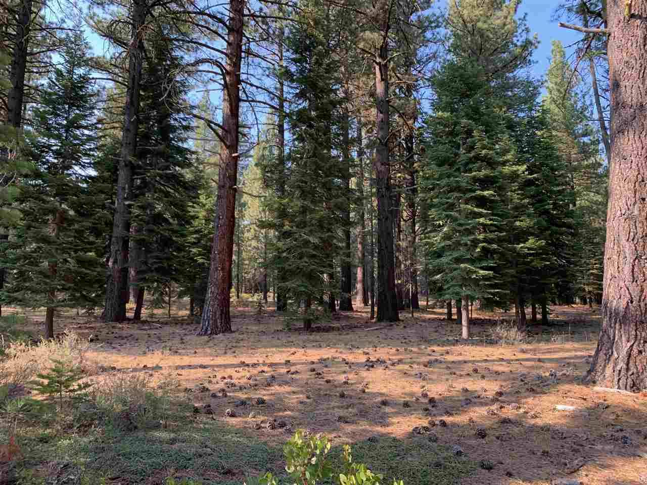 11060 Parkland Drive, Truckee, CA 96161