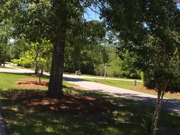 Freeport, FL 32439,Lot 97 Forest