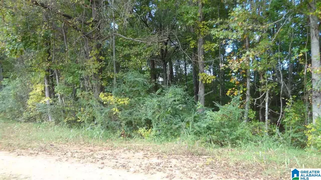 2.29 Acres CO RD 674 #2.29 Acres, Roanoke, AL 36274