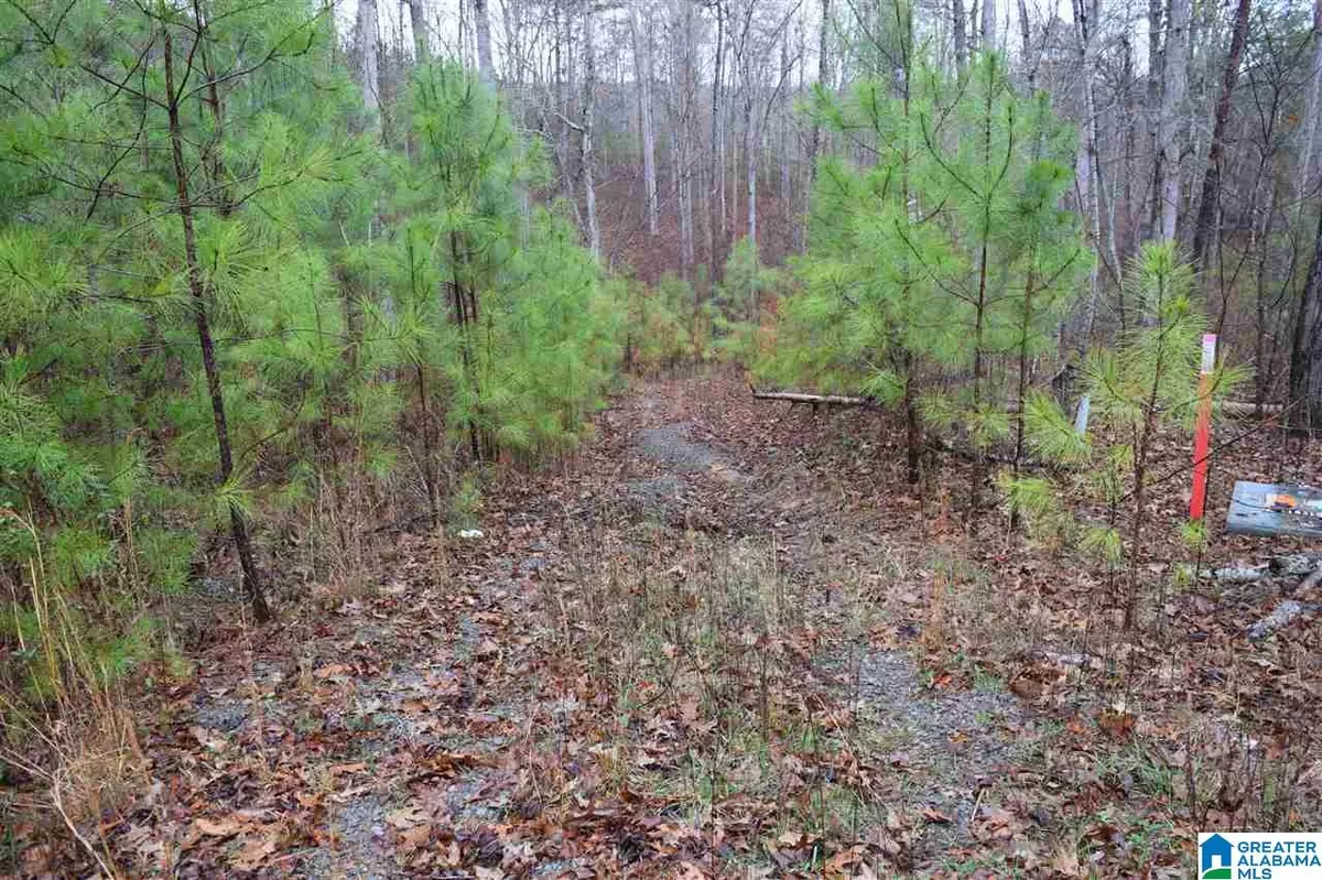 Arley, AL 35541,Lot 11 WINDING CREEK RD #Lot 11