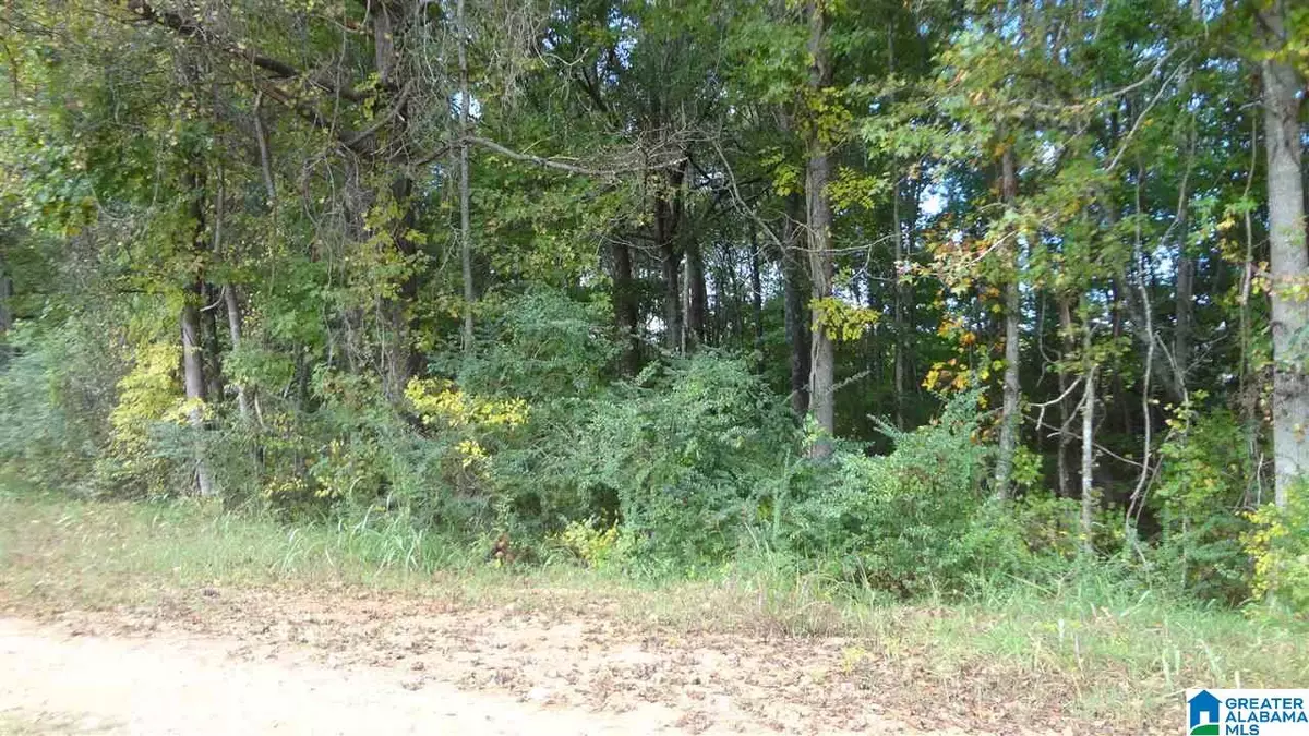 Roanoke, AL 36274,2.29 Acres CO RD 674 #2.29 Acres