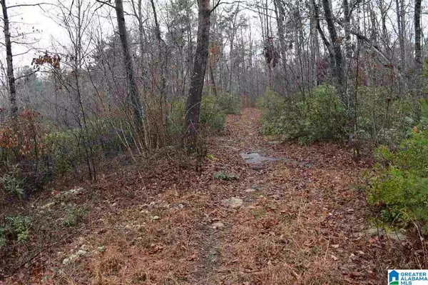 Arley, AL 35541,Lot 11 WINDING CREEK RD #Lot 11