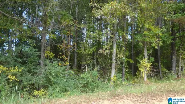 Roanoke, AL 36274,2.29 Acres CO RD 674 #2.29 Acres