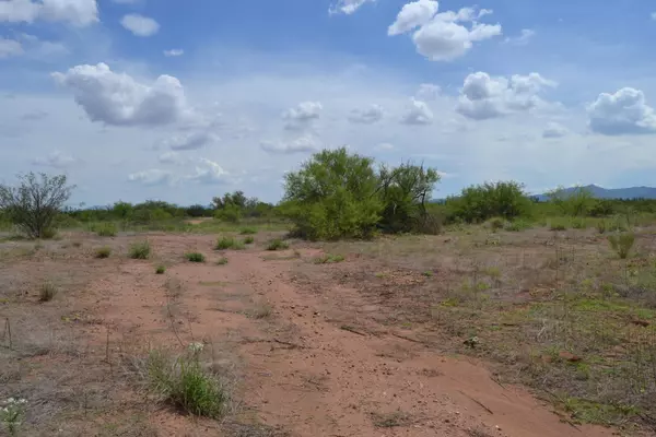 10 AC Parcel C Duke Road #-, Mc Neal, AZ 85617