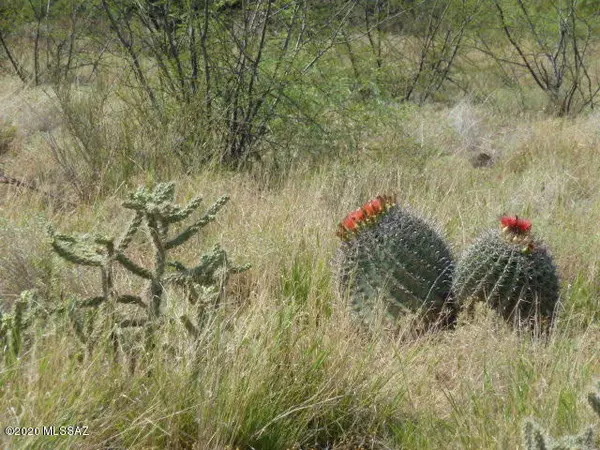 TBD N San Pedro Ranch Road #20, Benson, AZ 85602