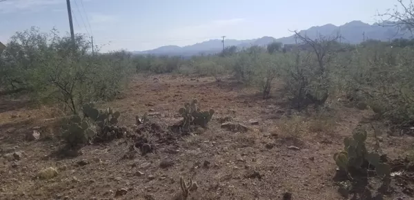 Rio Rico, AZ 85648,107 Avenida De Las Naciones  #14