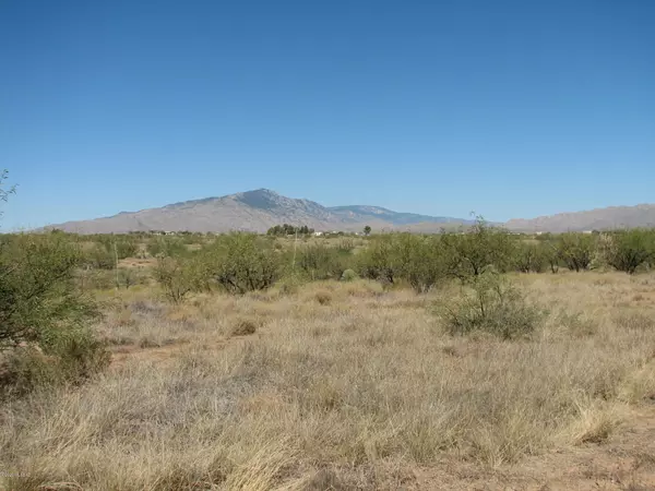 Lot 798 W Cactus Blossom Drive #V, Benson, AZ 85602