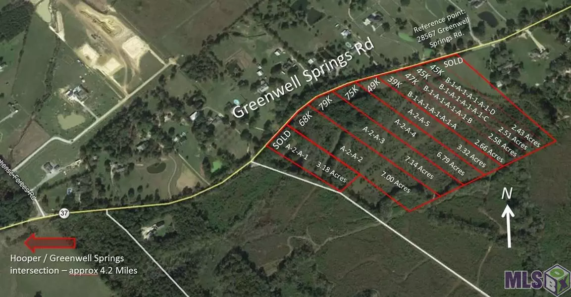 A2A3 GREENWELL SPRINGS RD, Greenwell Springs, LA 70739