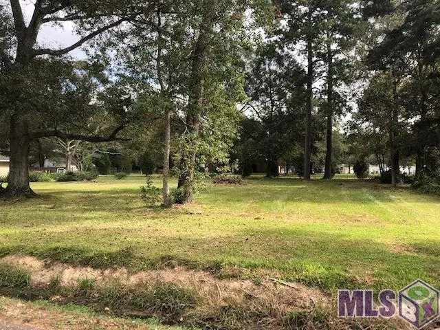 10248 SERENE RD, Denham Springs, LA 70726