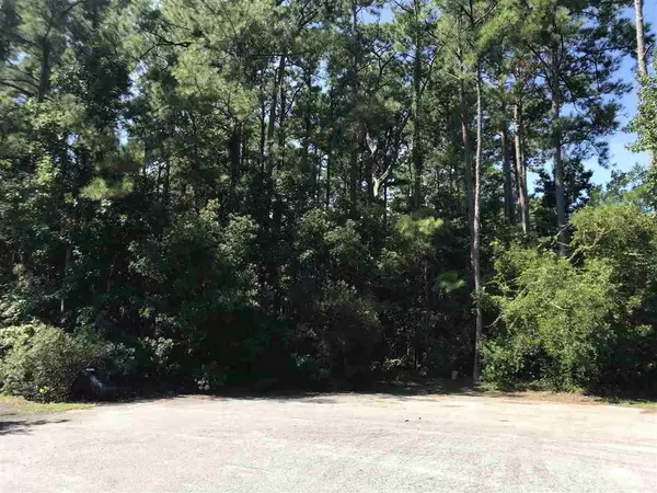 Manteo, NC 27954,180 Raleigh Wood Drive #Lot 17