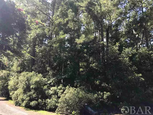 Manteo, NC 27954,180 Raleigh Wood Drive #Lot 17